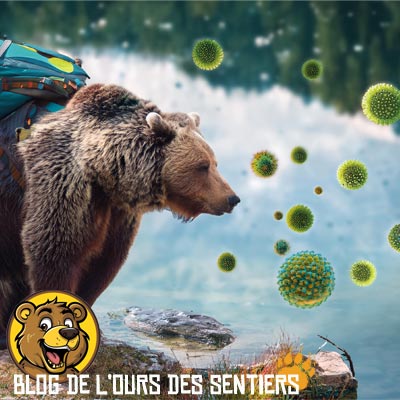 Les animax sauvages présents dans la nature risquent de contaminer l'eau d'un ruissea de haute montagne malgré qu'il paraisse potable