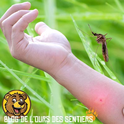 La démangeaison suite à une piqure de moustique est désagréable mais il y a pire comme complications suite aux piqures d'insectes