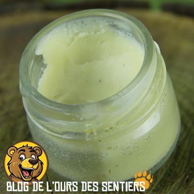 Crème "maison" anti démangeaisons et anti inflammatoire à base de plantain, thym, romarin, vinaigre et beurre de karité