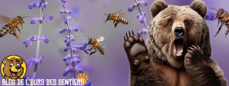 Savoir soigner et traiter la piqure d'insecte est un bon moyen d'éviter des complications et de ne pas trop souffrir de démangeaisons