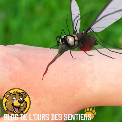 Voilà, les moustiques rodent autour du randonneur et de son bivouac. La piqure d'insecte ne va pas tarder à nous gratter. Conseils et astuces pour soulager et soigner une piqure de moustique