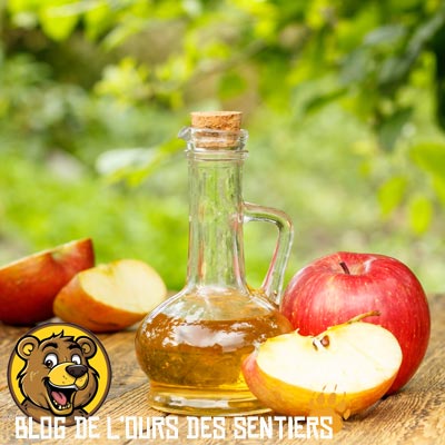 Appliquer du vinaigre de cidre ou du vinaigre balnc sur une piqure d'insecte va réduire les démangeaisons