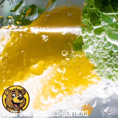 Appliquer un glaçon fait à base de jus de citron aura un effet contre les démangeaisons et inflammations des piqures d'insecte