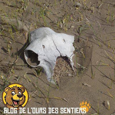 La prudence est un état d'esprit qui doit nous accompagner tous les instants lorsque l'on randonne seul en terrain isolé