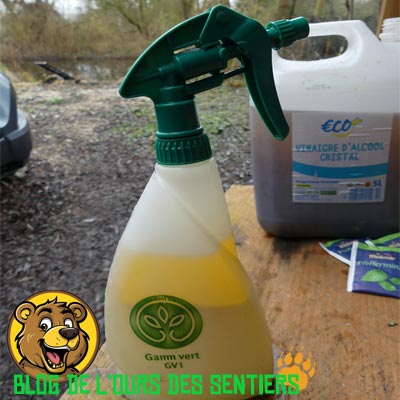 meilleur répulsif anti rongeur maison fait par l'ours des sentiers, le blog vanlife