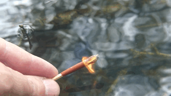 Même trempée dans l'eau un court moment, les allumettes tempêtes peuvent reprendre flamme si cette dernière a été éteinte