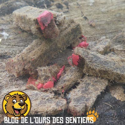 Trop peu robustes et avec un embout phosphore de mauvaise qualité les allumettes briquettes CAO 1008 sont impossibles à allumer sur le grattoir