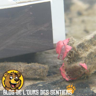 La qualité du grattoir des allumettes briquettes CAO pourrait être suffisant, mais n'a pas le temps de servir au regard des dégradations des allumettes pendant les essais d'allumages
