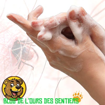 Avant de retirer une tique, il est primordial de se déinfecter les mains ainsi que la pince à tique