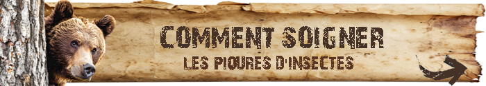 Toutes les méthodes pour se soigner contre les piqures de moustiques et d'insectes par le blog de l'ours des sentiers