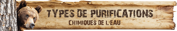 Désinfecter et purifier son eau avec un traitement chimique adapté vous permet de rendre l'eau potable par désinfection microbienne