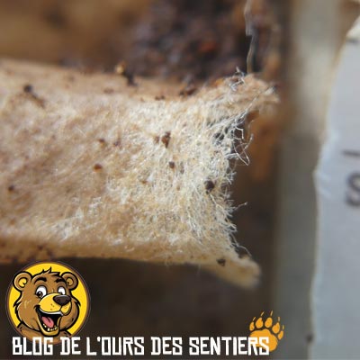 La membrane du filtre présente dans les sachets Coffe Brewer est robuste et parfaitement adaptée à l'extraction des arômes du marc de café