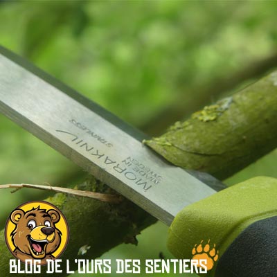 Vue d'une première entaille de coupe dans une branche avec la lame inox du couteau mora Companion Spark