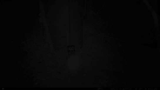 Vue de l'effet très répulsif des ultrasons de l'EMR10 Nitecore sur un mulot