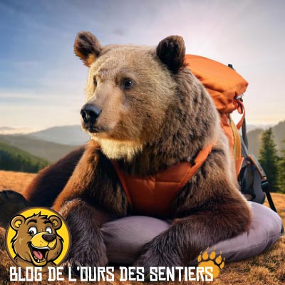 l'oreiller gonflable nemo fillo elite est le meilleur choix d'un oreiller de voyage de qualité