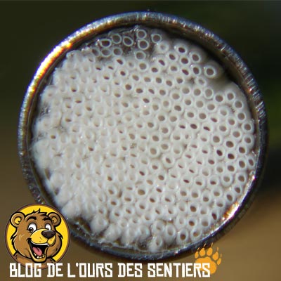 Les pores de 0.2 microns des fibres creuses de la paille filtre lifestraw permet d'éliminer bactéries, protozoaires et microplastiques