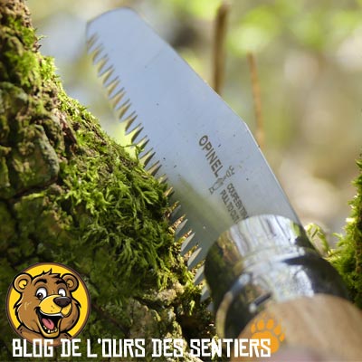 Pour ce premier test de coupe de la scie de poche pliante Opinel, l'ours des sentiers utilise une grosse branche de sureau