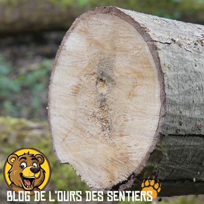 La coupe de la lame de scie de poche N12 Opinel est de grande qualité