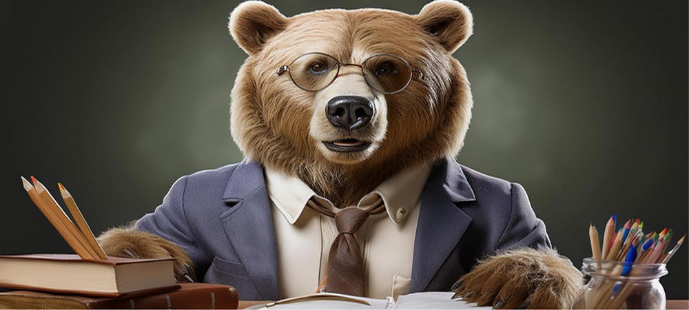 Blog l'ours des sentiers, tout savoir sur le materiel de randonnée, bushcraft, survie, vanlife