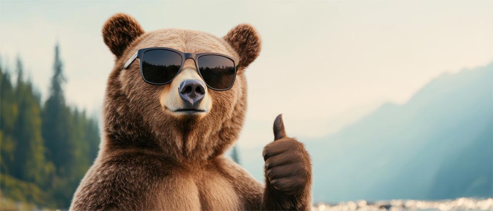 Le meilleur blog des randonneurs, survie bushcraft, l'ours des sentiers vous aide au choix de votre équipement pour randonner et vanlife