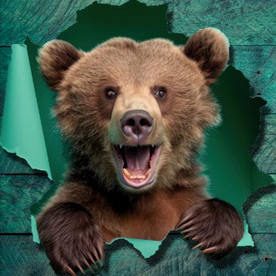 Blog randonnee bushcraft de l'ours des sentiers. Conseils techniques pour les randonneurs, tests de produits et materiel pour le trek et randonnee ultra légere. Apprendre à vivre avec la nature sur un bivouac bushcraft