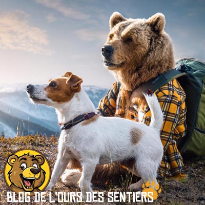 La ligne éditioriale du Blog de l'Ours des Sentiers est faite sans IA et du pur rédactionnel de contenu par un passionné