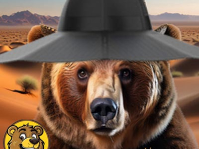 CHAPEAU SOLAIRE ECOFLOW