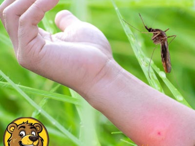 COMMENT SOIGNER LES PIQURES D'INSECTES